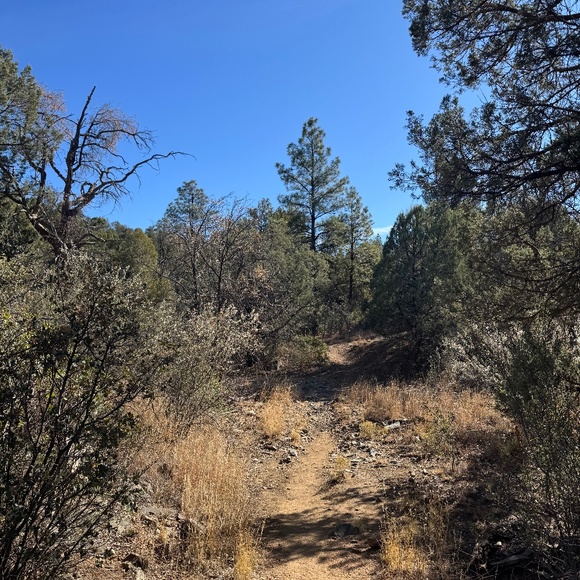 Meet your Posher, Keri - Picture 1 of 1